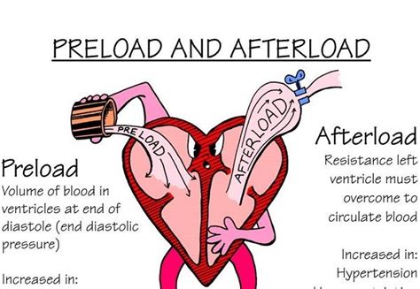 lv afterload|drugs that affect afterload.